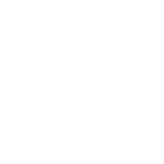 GO4IT Solutions